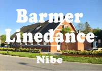 Barmer Linedance logo