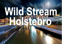 Wild Stream Holstebro logo